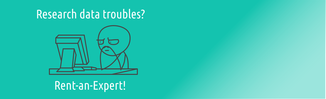 Comments on Collaboration - My Experience with the DKZ.2R Rent-an-Expert Program