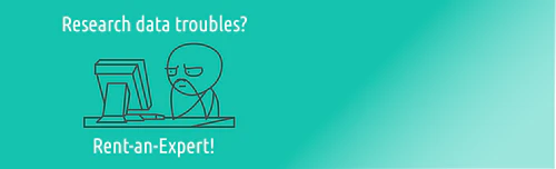 Comments on Collaboration - My Experience with the DKZ.2R Rent-an-Expert Program